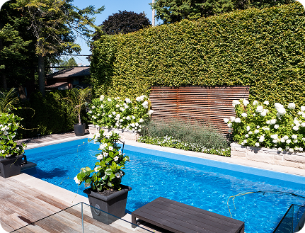 Pool Shock: When, Why & How Much You Need